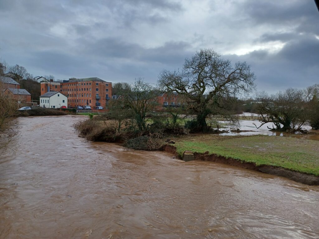 The River Otter running very high and fast. In the background is the Otter Mill, now converted into apartments.